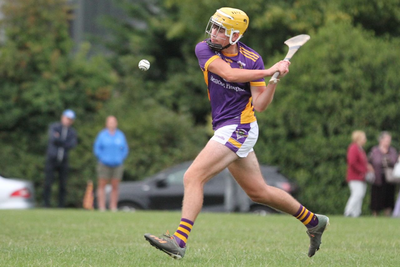 U17 A Hurlers vs Dublin U16 Team