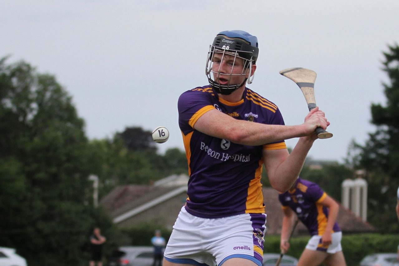 U17 A Hurlers vs Dublin U16 Team