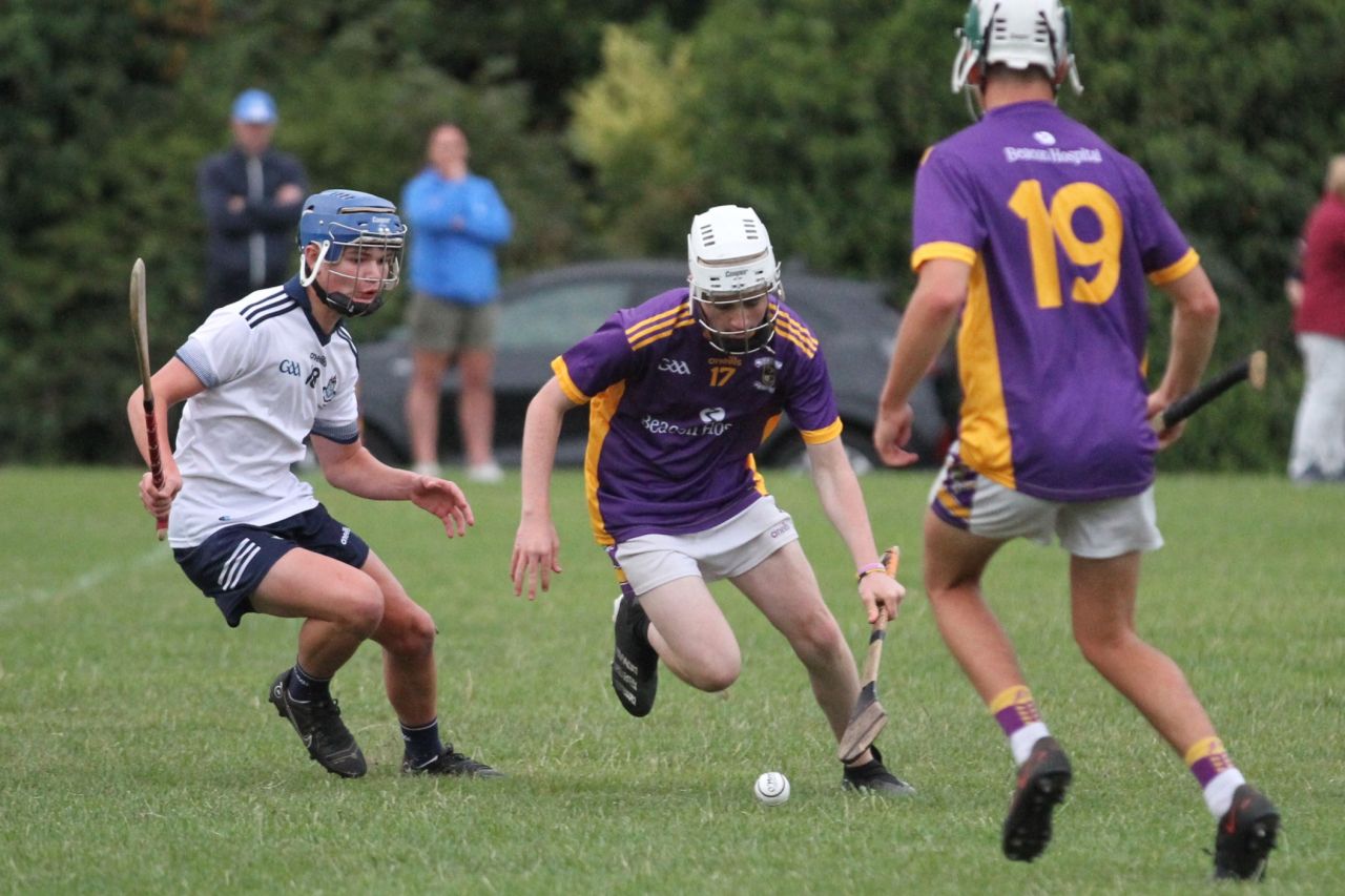 U17 A Hurlers vs Dublin U16 Team