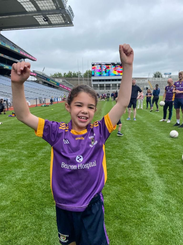 ALL STARS Blitz in Croke Park - Kilmacud Crokes Well Represented !!!