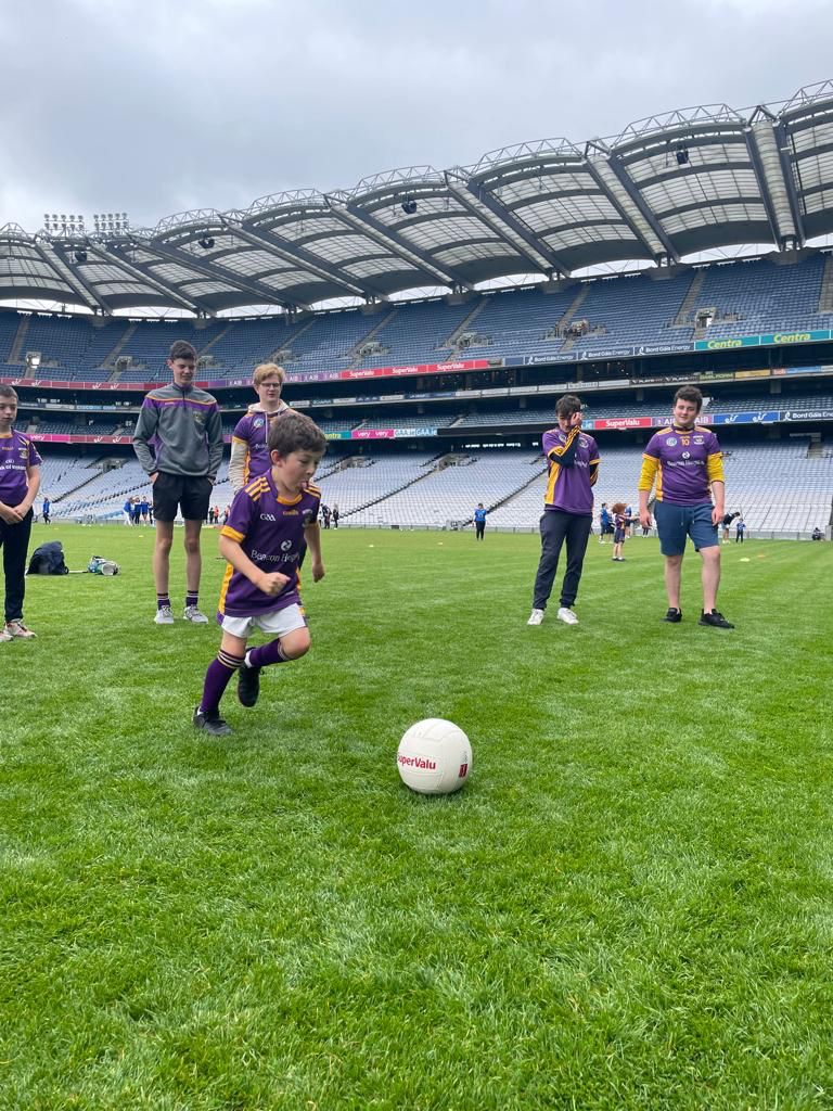 ALL STARS Blitz in Croke Park - Kilmacud Crokes Well Represented !!!