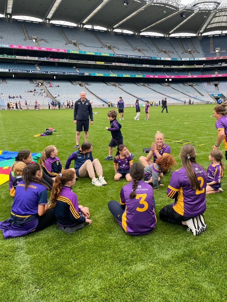 ALL STARS Blitz in Croke Park - Kilmacud Crokes Well Represented !!!