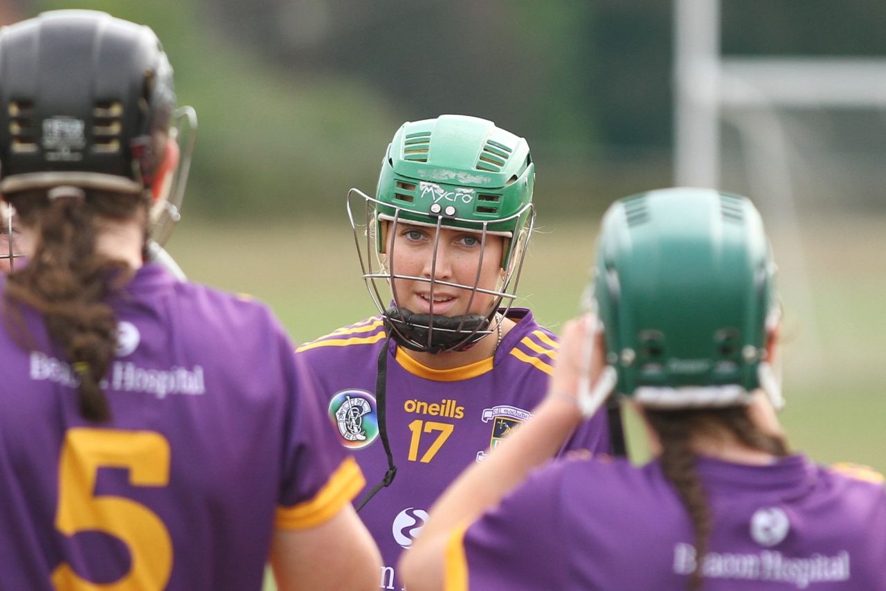 Camogie Go-Ahead Championship Senior 1 vs Castleknock