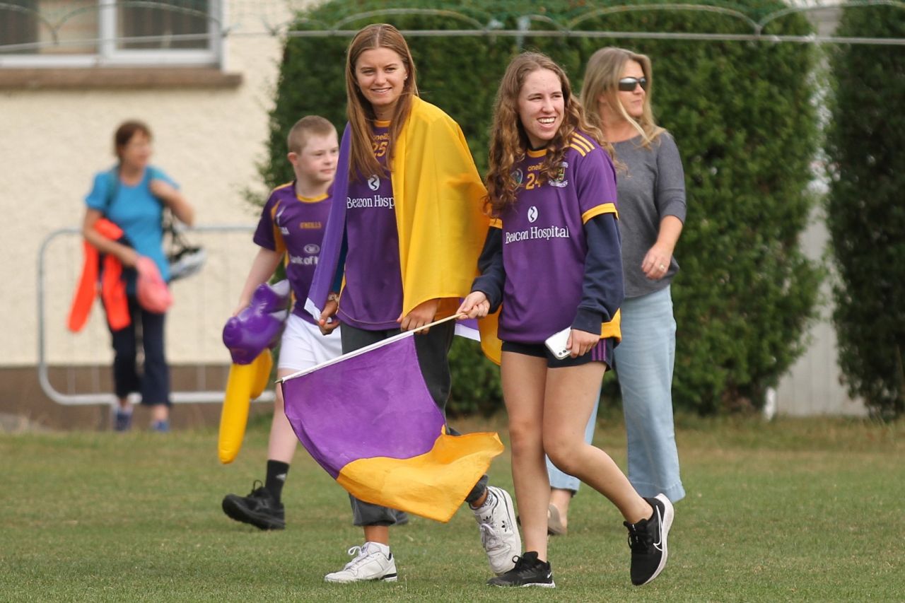 Camogie Go-Ahead Championship Senior 1 vs Castleknock