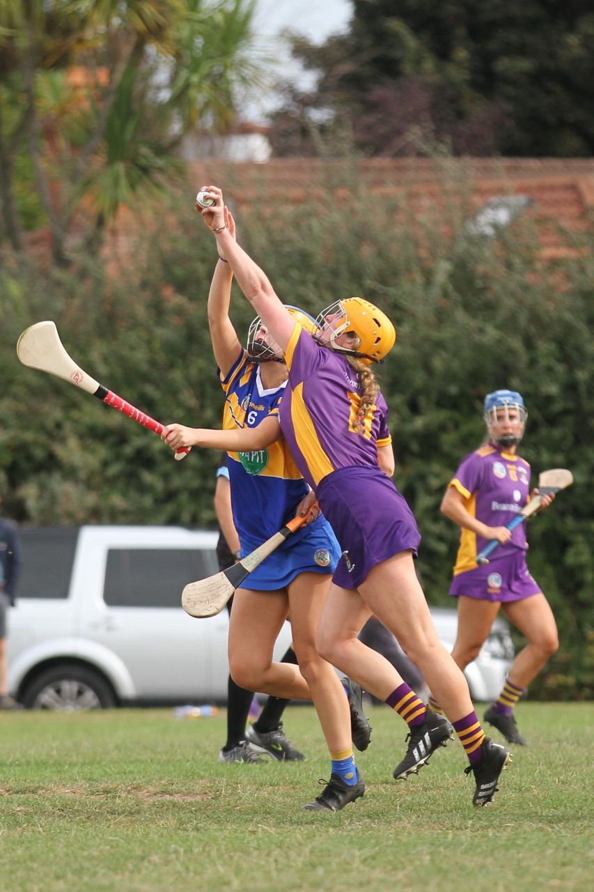 Camogie Go-Ahead Championship Senior 1 vs Castleknock