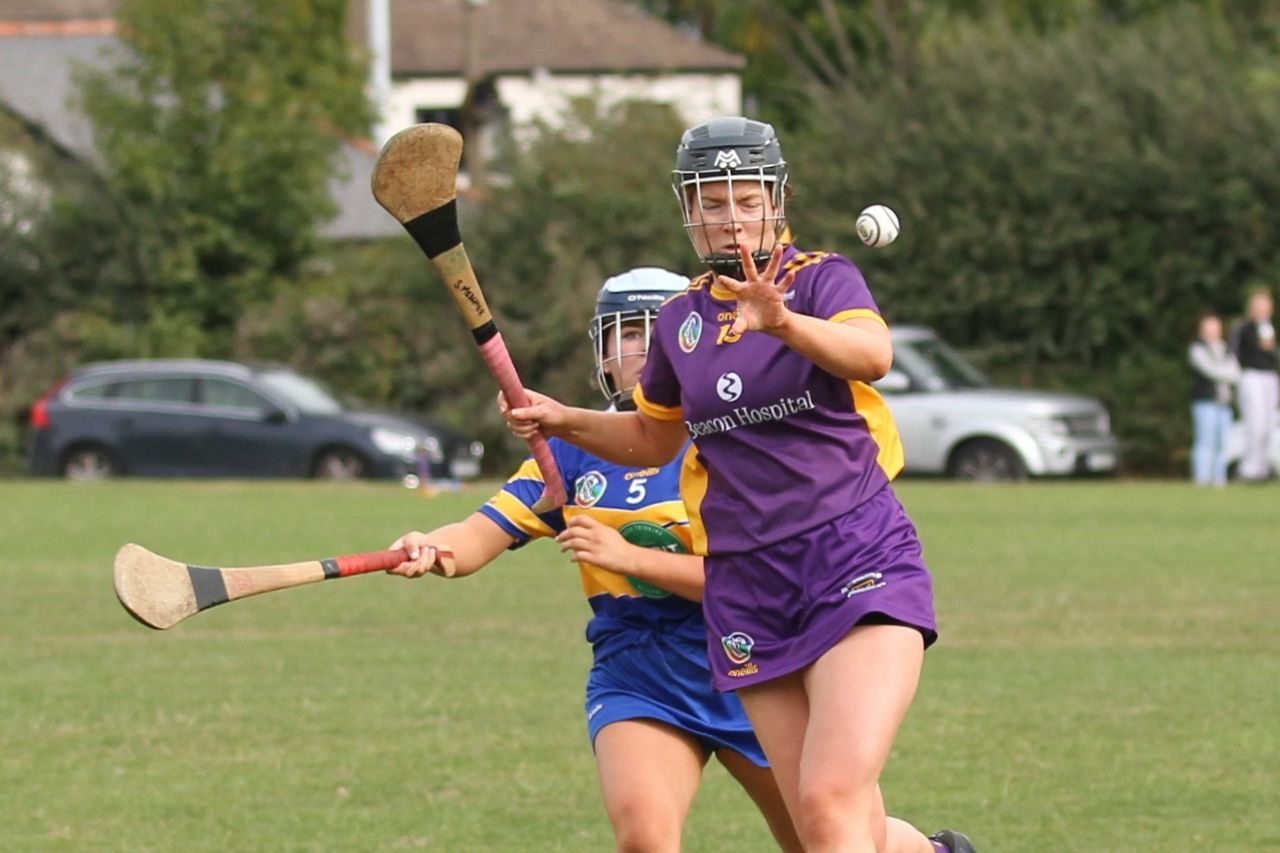 Camogie Go-Ahead Championship Senior 1 vs Castleknock