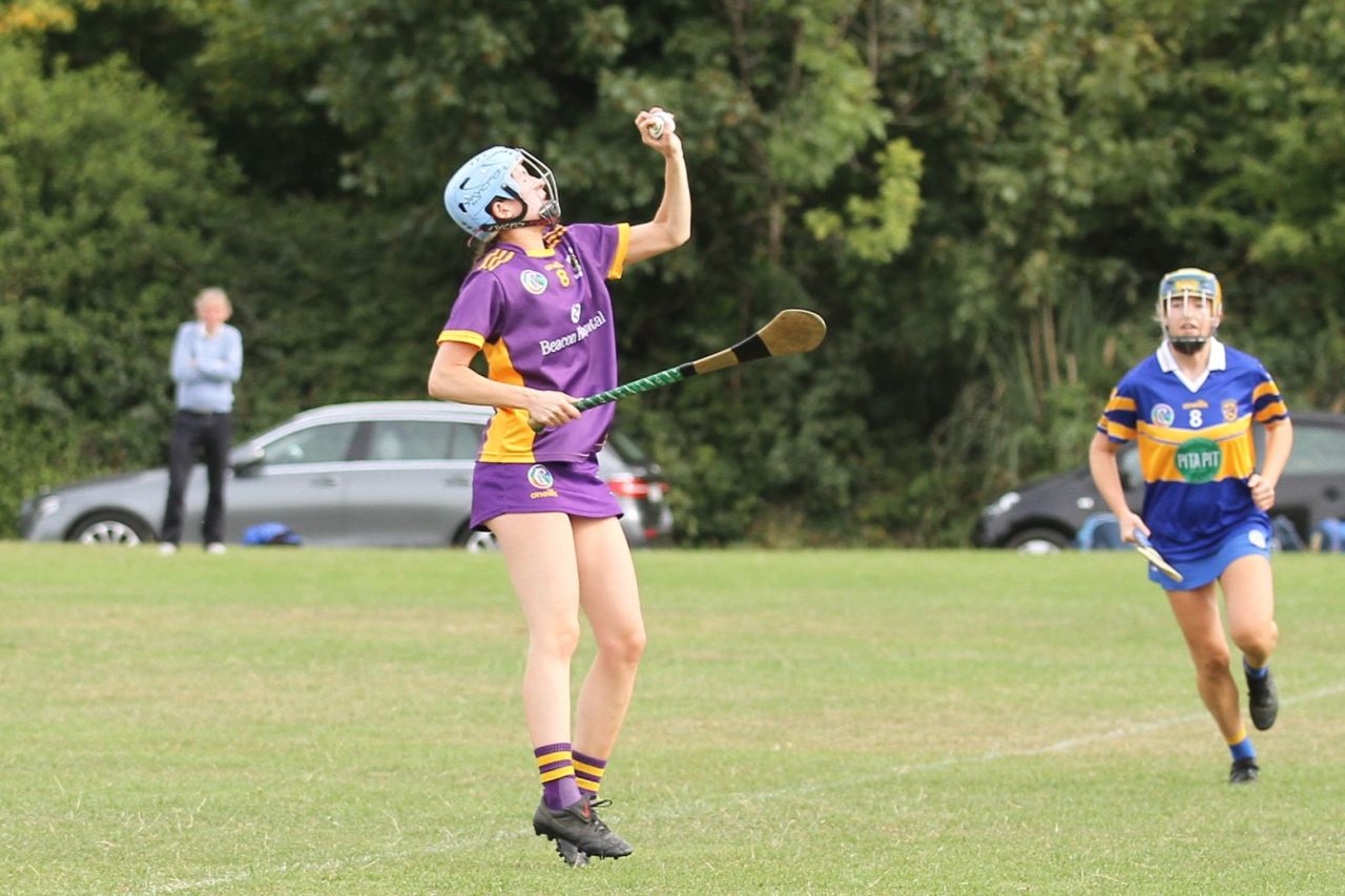 Camogie Go-Ahead Championship Senior 1 vs Castleknock