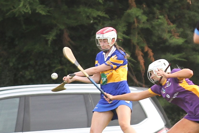 Camogie Go-Ahead Championship Senior 1 vs Castleknock