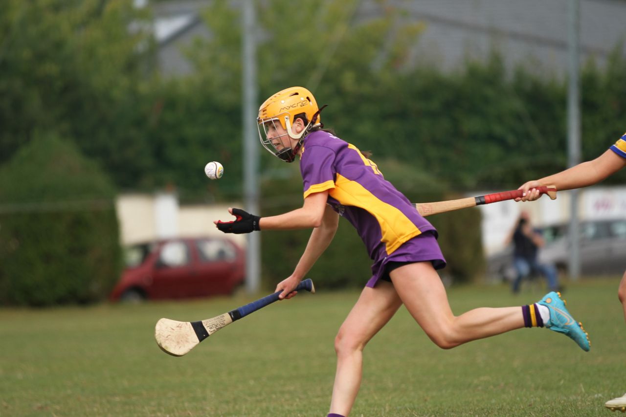 Camogie Go-Ahead Championship Senior 1 vs Castleknock