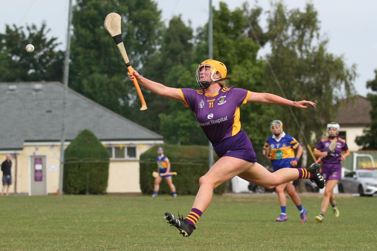 Camogie Go-Ahead Championship Senior 1 vs Castleknock