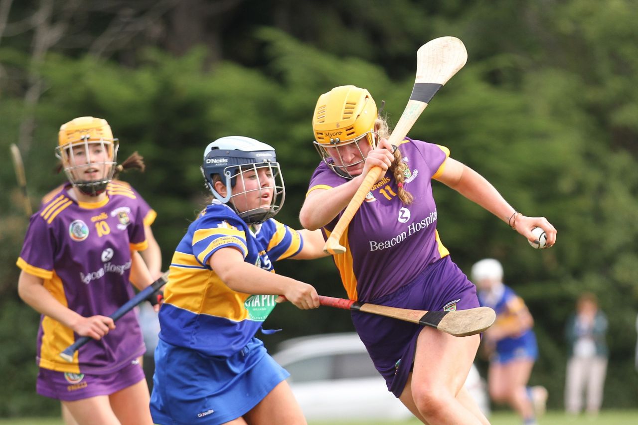 Camogie Go-Ahead Championship Senior 1 vs Castleknock