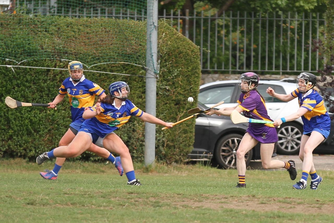 Camogie Go-Ahead Championship Senior 1 vs Castleknock