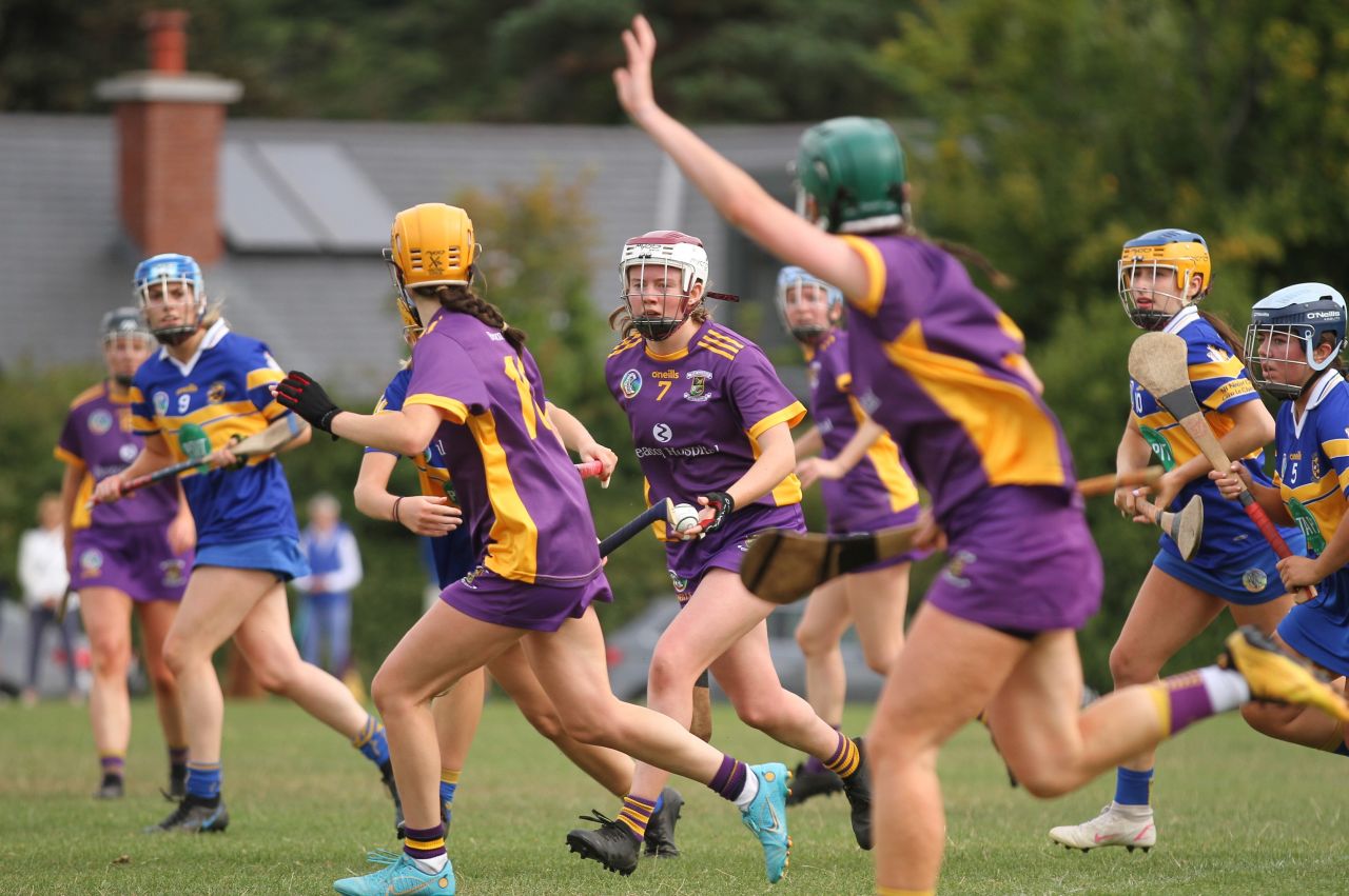 Camogie Go-Ahead Championship Senior 1 vs Castleknock