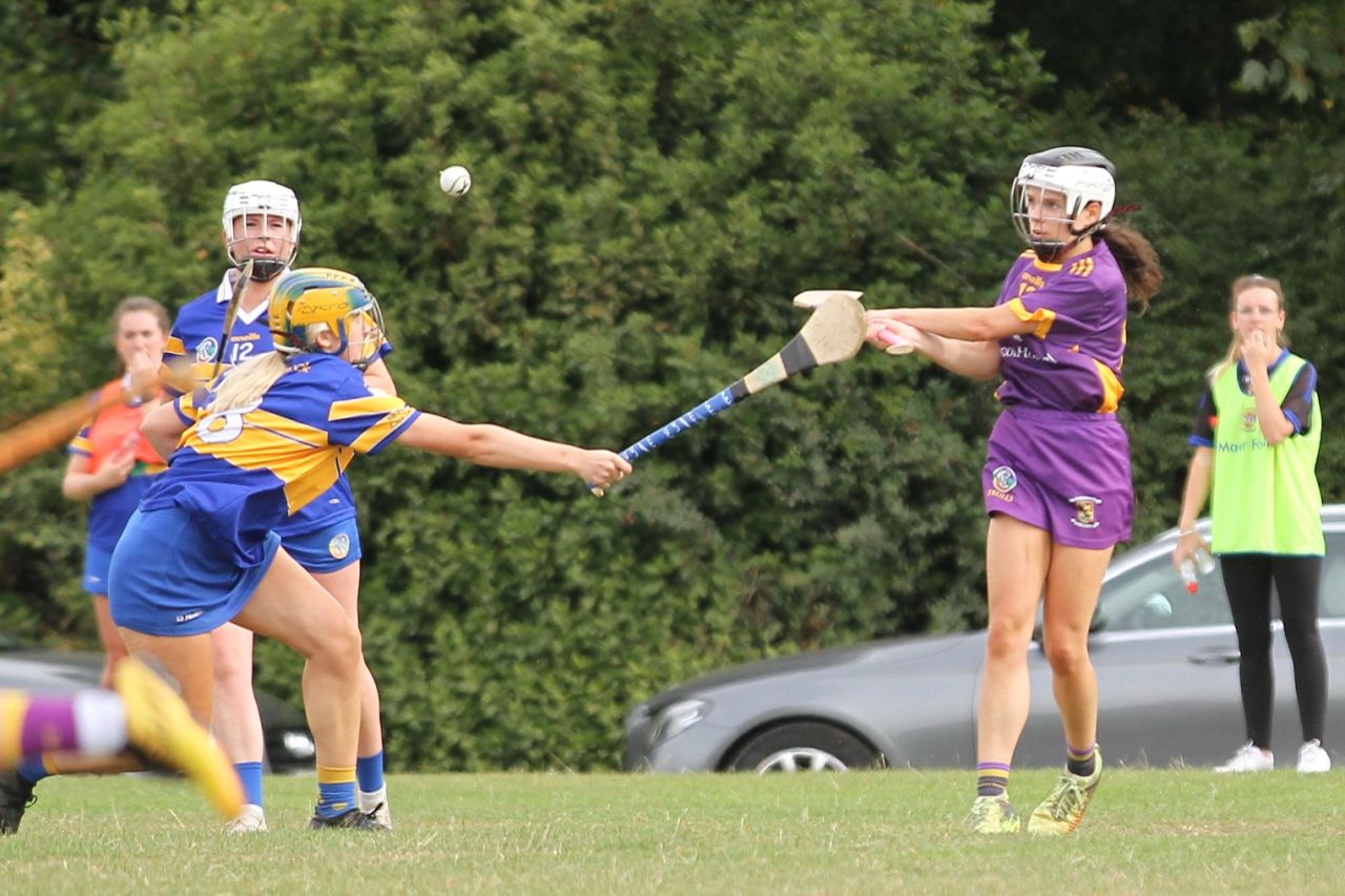 Camogie Go-Ahead Championship Senior 1 vs Castleknock