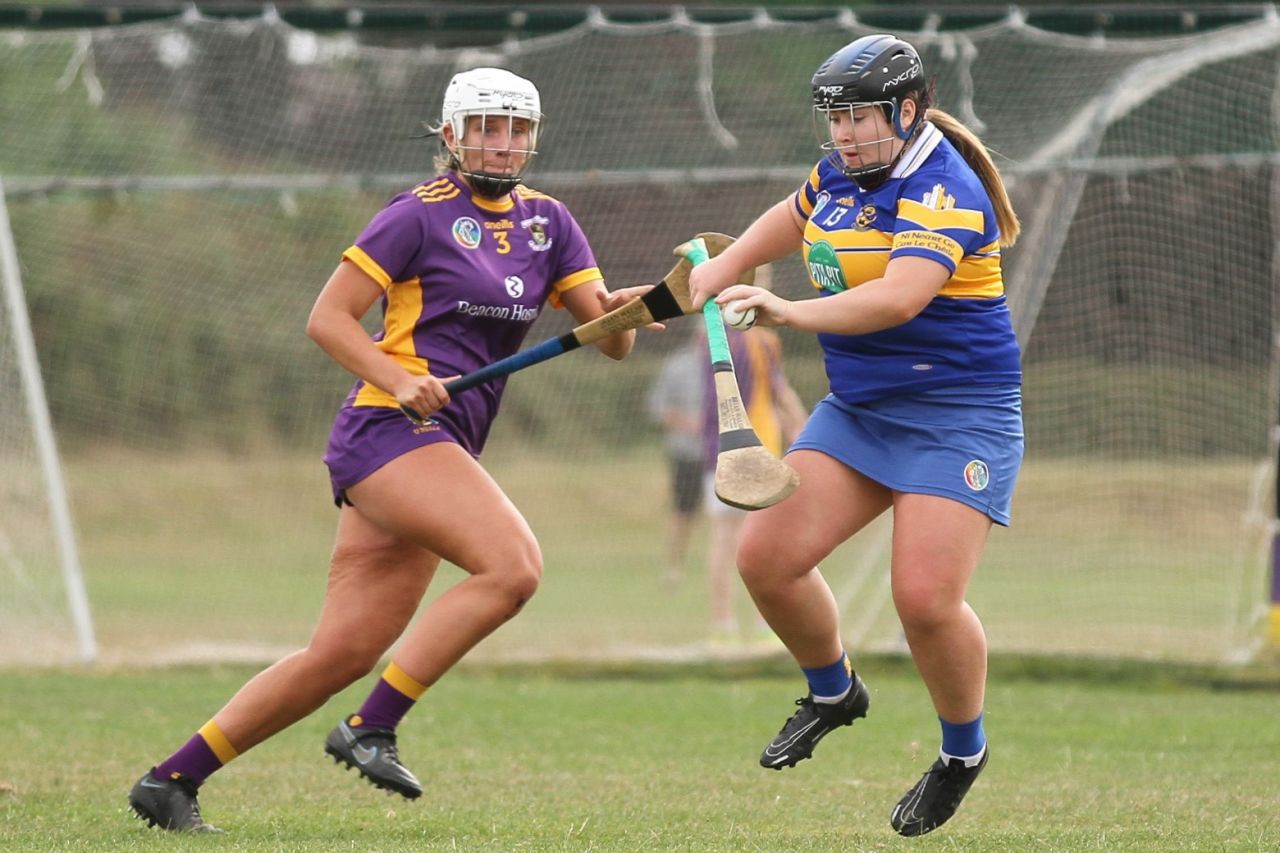 Camogie Go-Ahead Championship Senior 1 vs Castleknock