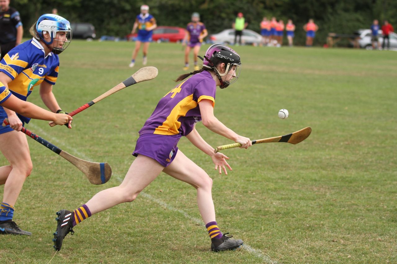 Camogie Go-Ahead Championship Senior 1 vs Castleknock