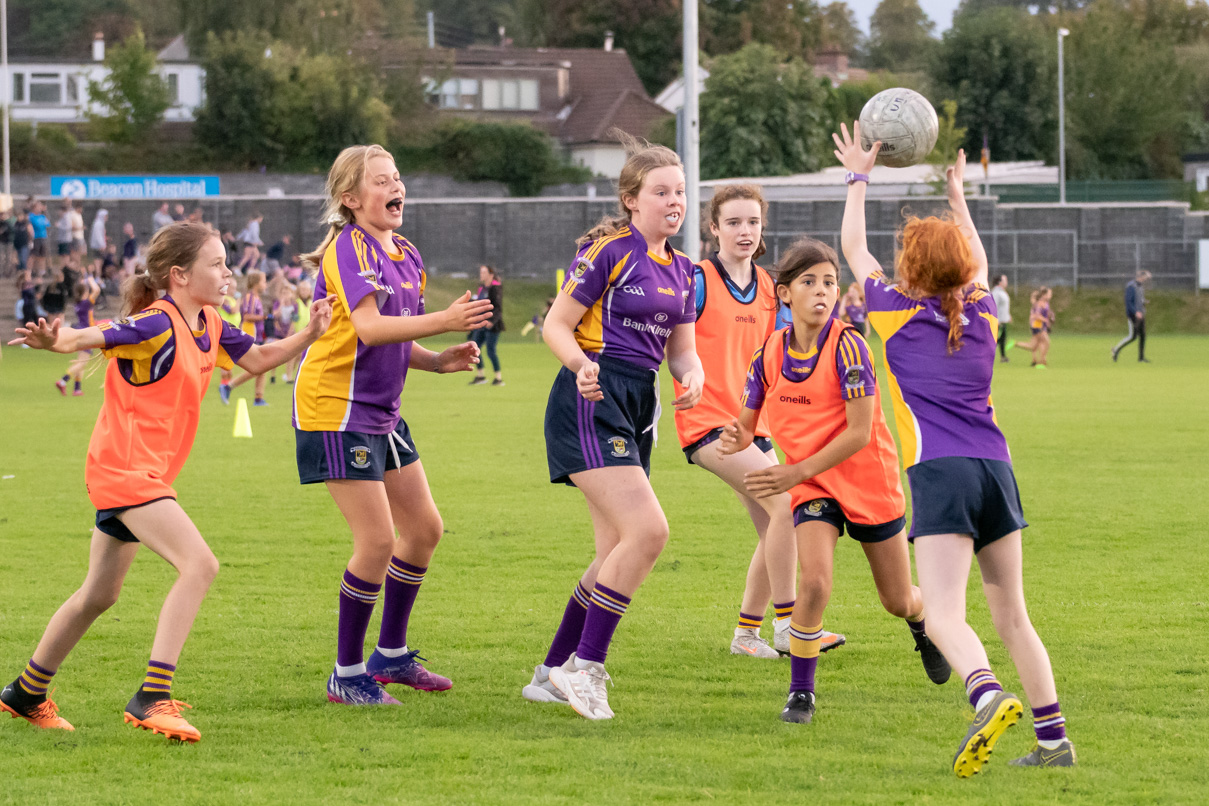 Ladies Football Go-Ahead Senior Championship Group A  Kilmacud Crokes Versus Thomas Davis 