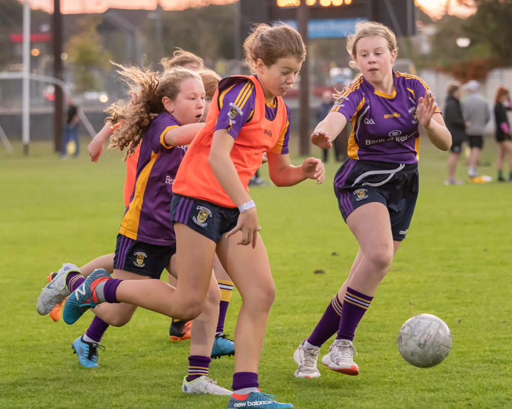 Ladies Football Go-Ahead Senior Championship Group A  Kilmacud Crokes Versus Thomas Davis 