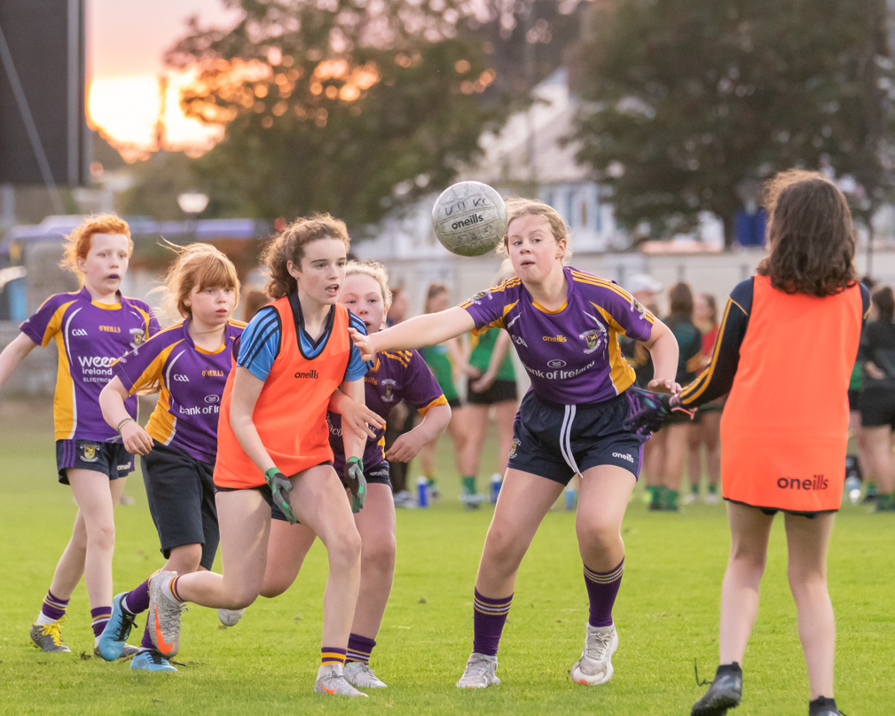 Ladies Football Go-Ahead Senior Championship Group A  Kilmacud Crokes Versus Thomas Davis 