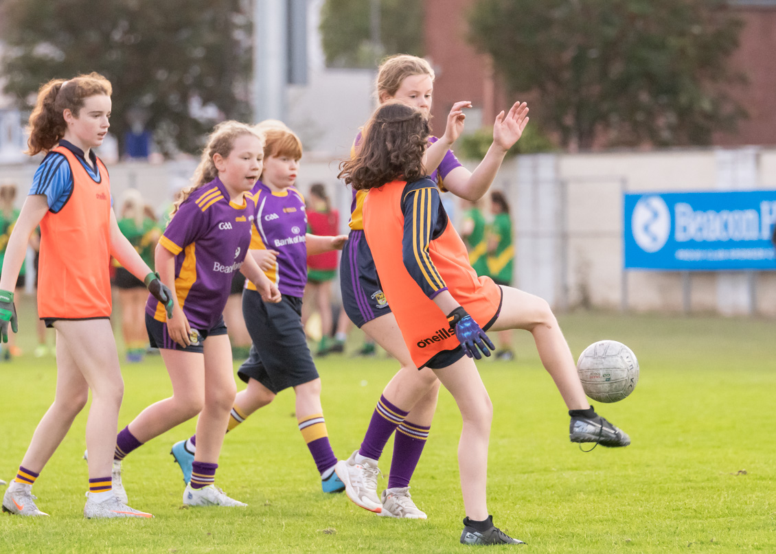 Ladies Football Go-Ahead Senior Championship Group A  Kilmacud Crokes Versus Thomas Davis 