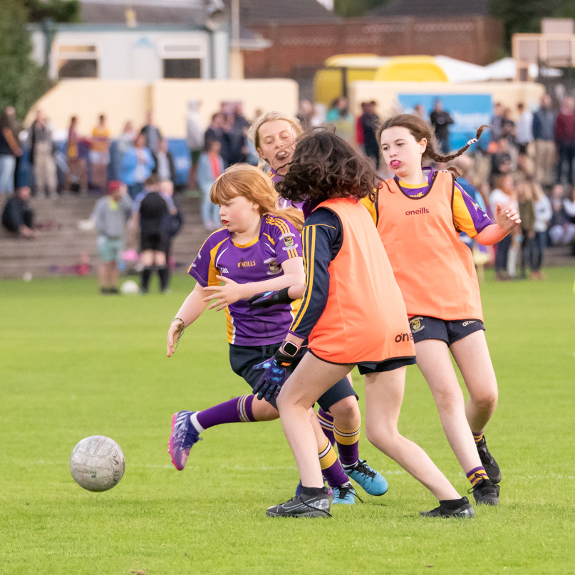 Ladies Football Go-Ahead Senior Championship Group A  Kilmacud Crokes Versus Thomas Davis 