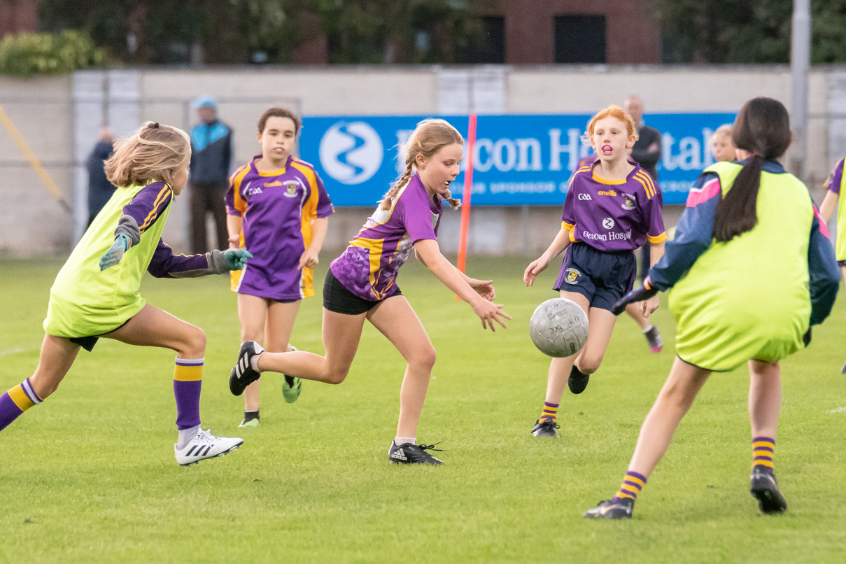 Ladies Football Go-Ahead Senior Championship Group A  Kilmacud Crokes Versus Thomas Davis 