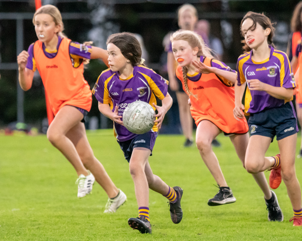 Ladies Football Go-Ahead Senior Championship Group A  Kilmacud Crokes Versus Thomas Davis 