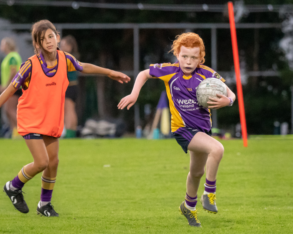 Ladies Football Go-Ahead Senior Championship Group A  Kilmacud Crokes Versus Thomas Davis 