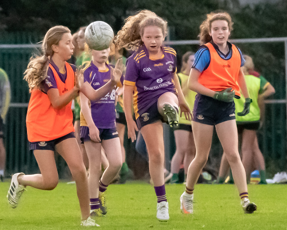 Ladies Football Go-Ahead Senior Championship Group A  Kilmacud Crokes Versus Thomas Davis 