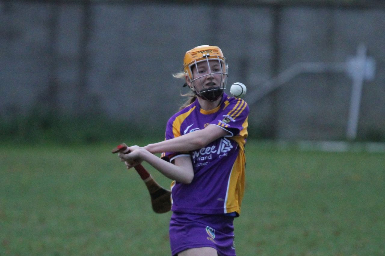 Camogie U18 Championship Division 4 vs Naomh Peregrine