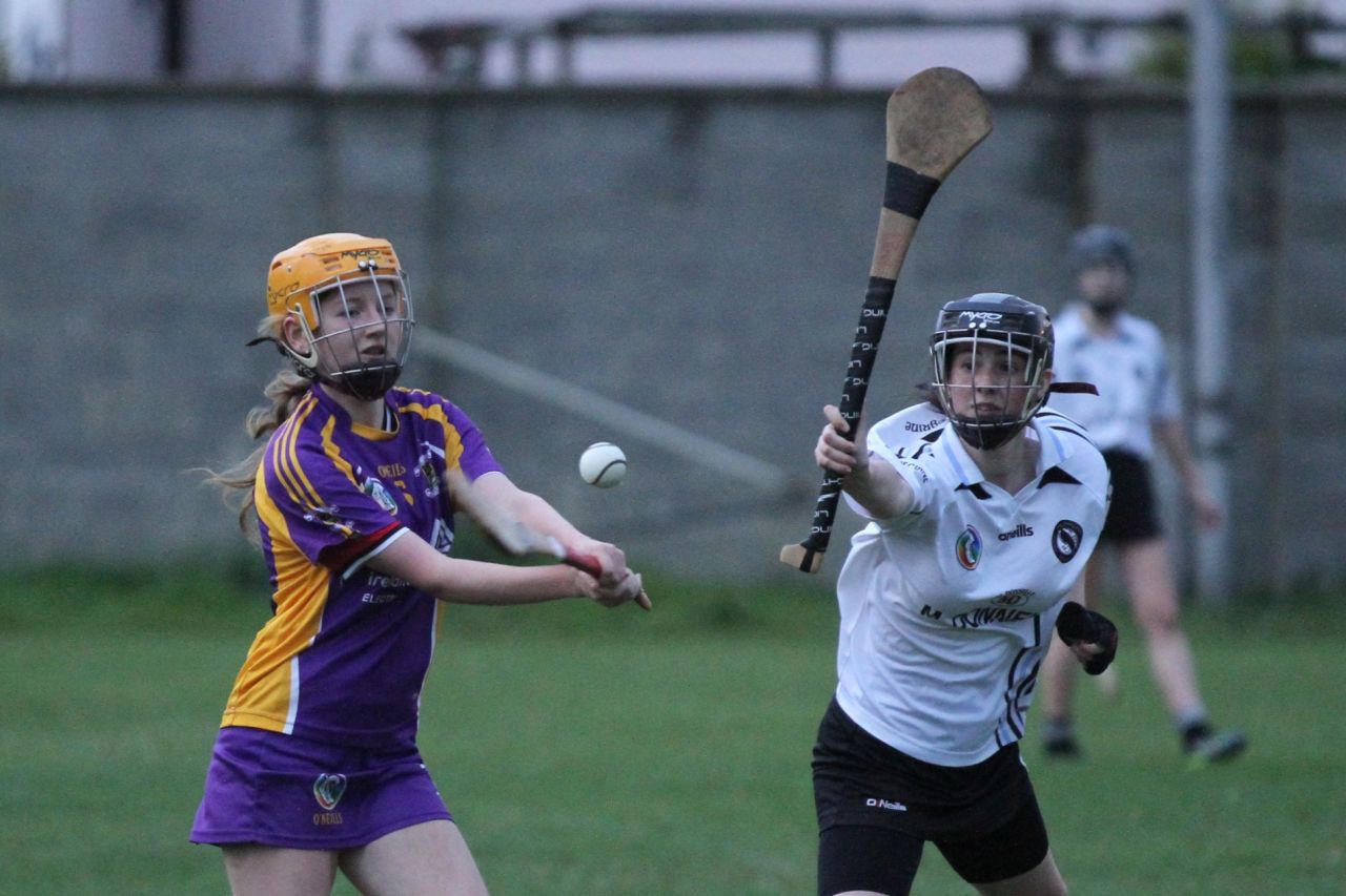 Camogie U18 Championship Division 4 vs Naomh Peregrine