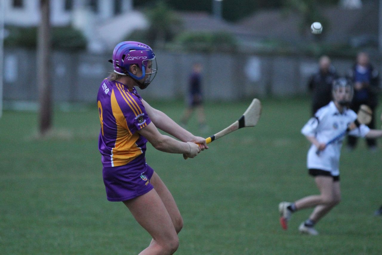 Camogie U18 Championship Division 4 vs Naomh Peregrine