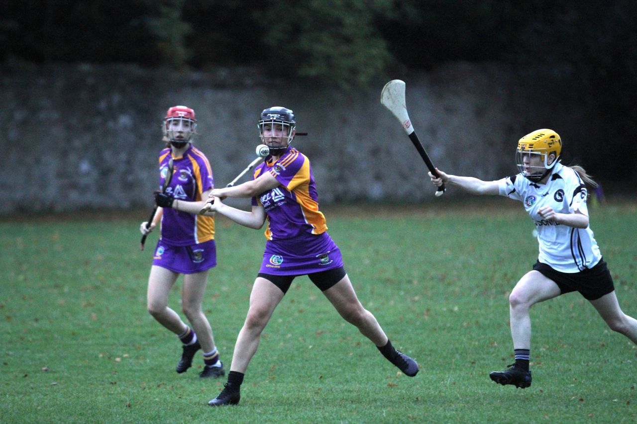 Camogie U18 Championship Division 4 vs Naomh Peregrine