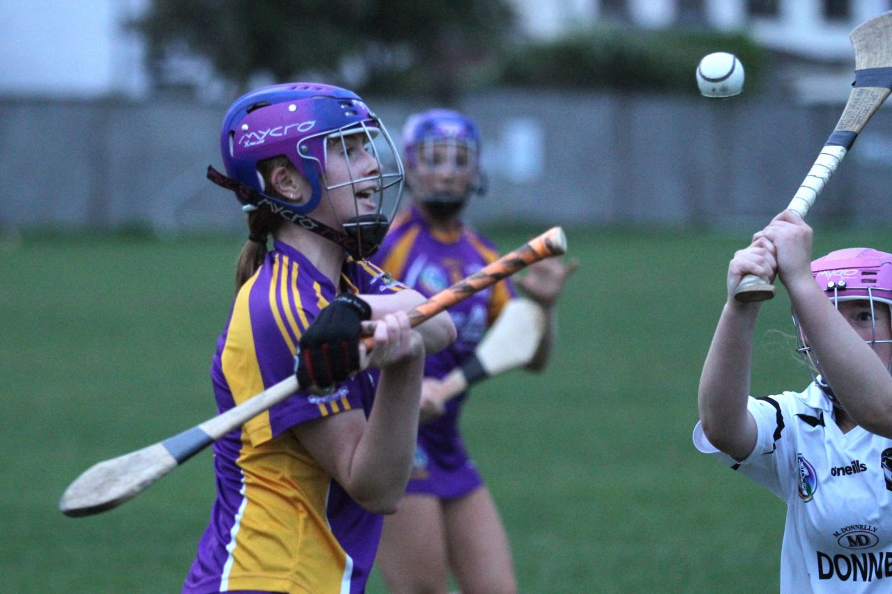 Camogie U18 Championship Division 4 vs Naomh Peregrine