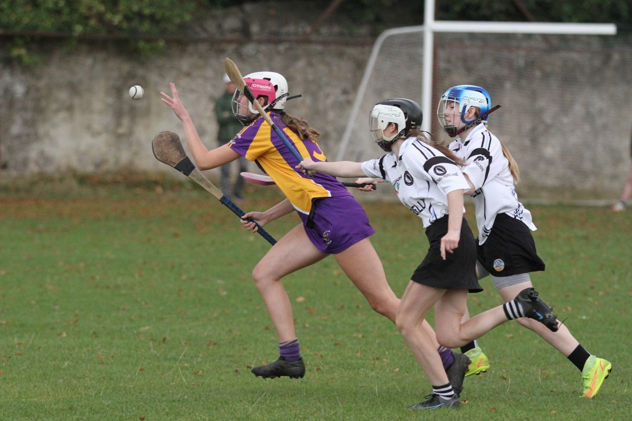 Camogie U18 Championship Division 4 vs Naomh Peregrine