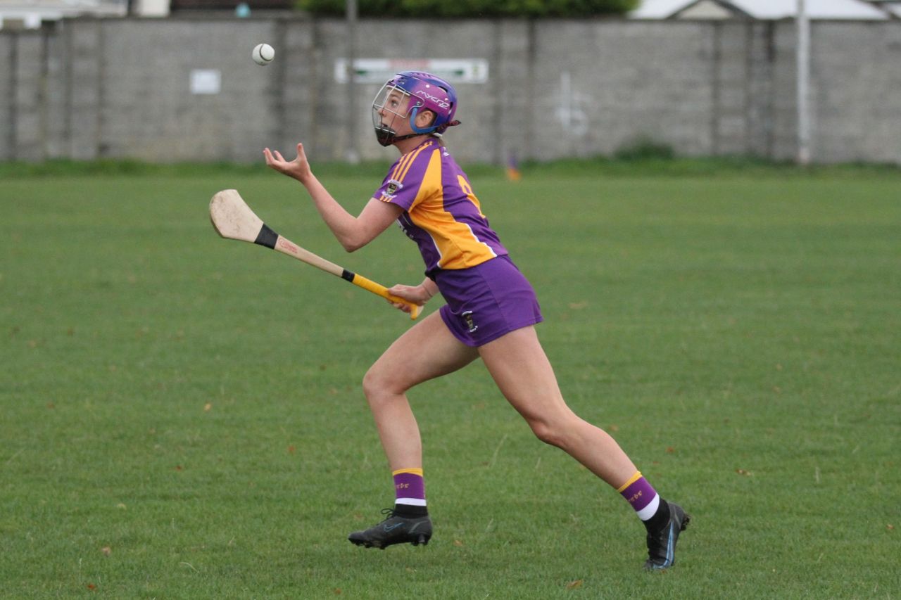 Camogie U18 Championship Division 4 vs Naomh Peregrine