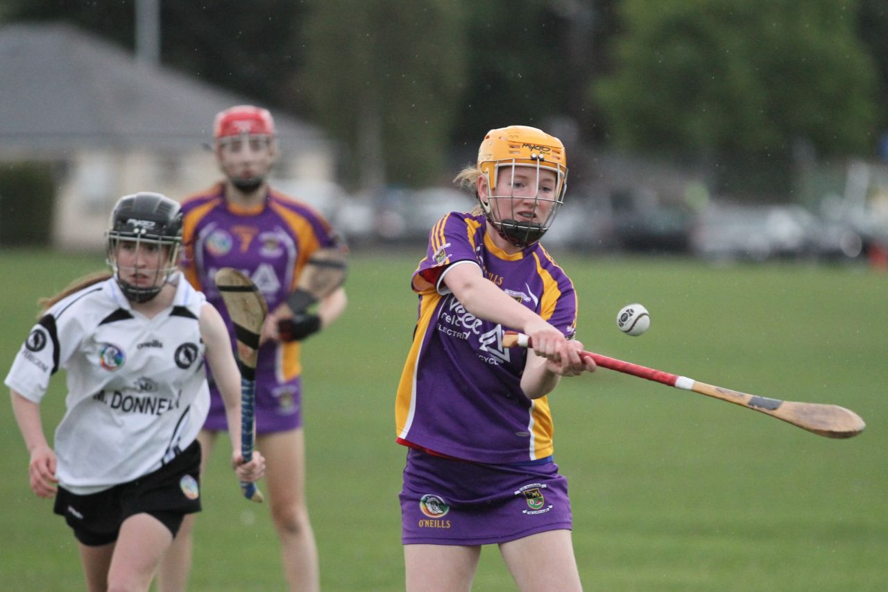 Camogie U18 Championship Division 4 vs Naomh Peregrine