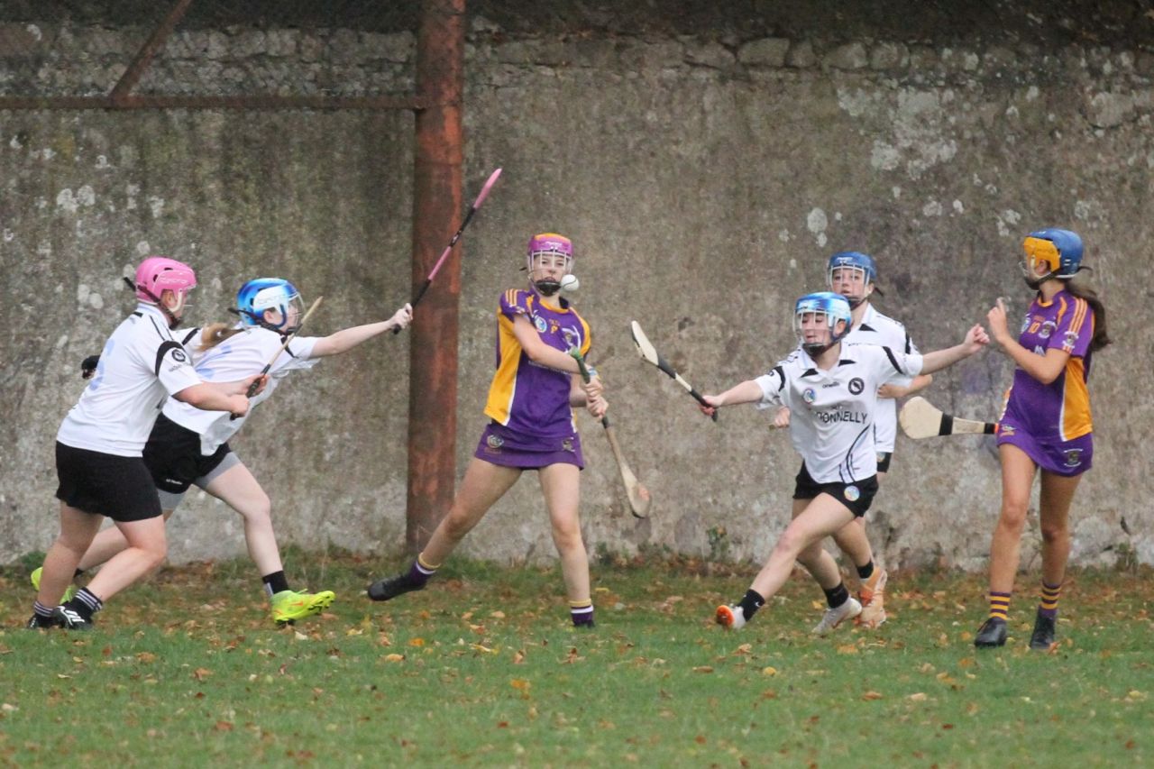 Camogie U18 Championship Division 4 vs Naomh Peregrine