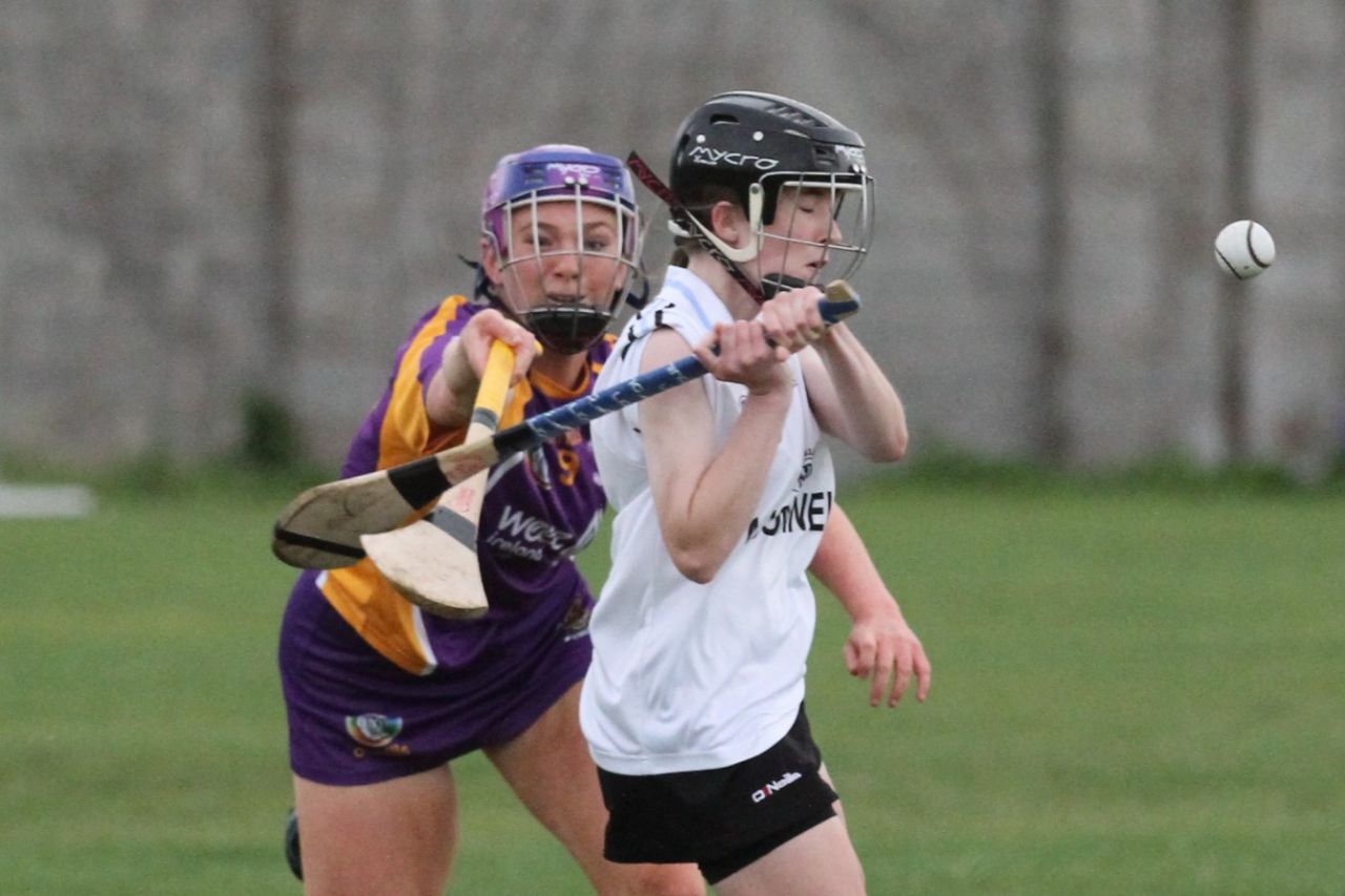 Camogie U18 Championship Division 4 vs Naomh Peregrine