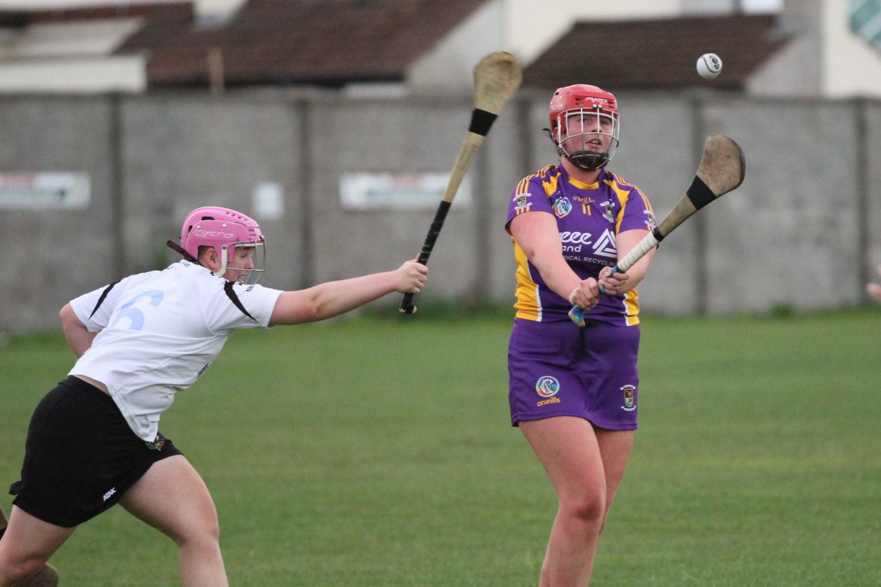 Camogie U18 Championship Division 4 vs Naomh Peregrine