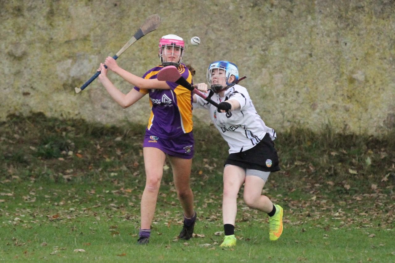 Camogie U18 Championship Division 4 vs Naomh Peregrine