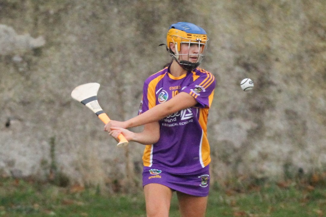 Camogie U18 Championship Division 4 vs Naomh Peregrine