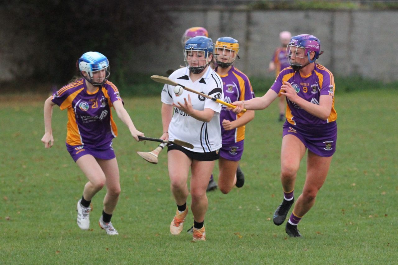 Camogie U18 Championship Division 4 vs Naomh Peregrine