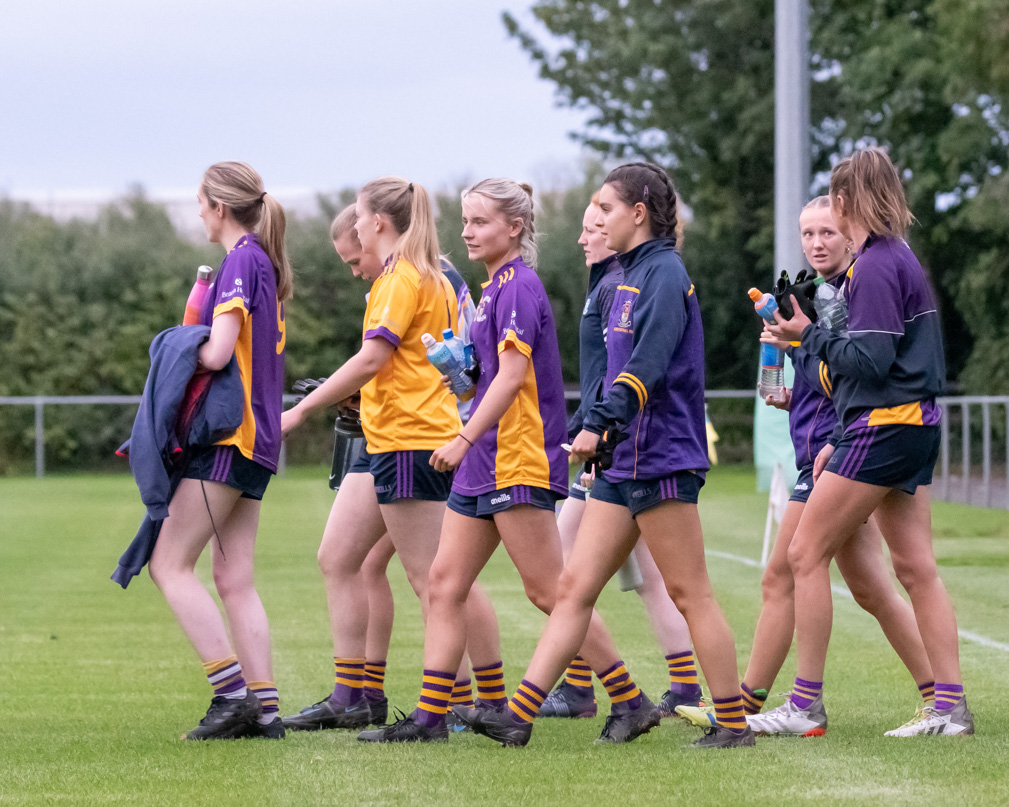 Ladies Football Go-Ahead Junior B Championship Knock Out Stages Final Kilmacud Crokes V St Brendans