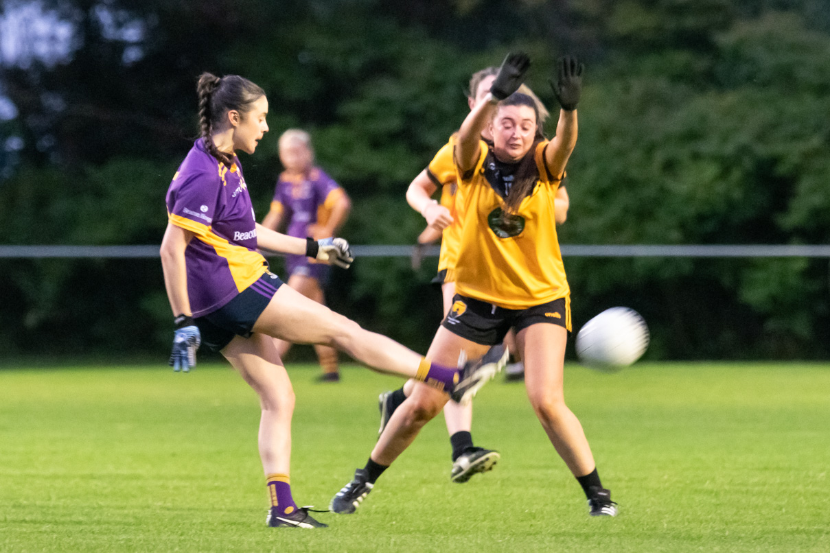 Ladies Football Go-Ahead Junior B Championship Knock Out Stages Final Kilmacud Crokes V St Brendans