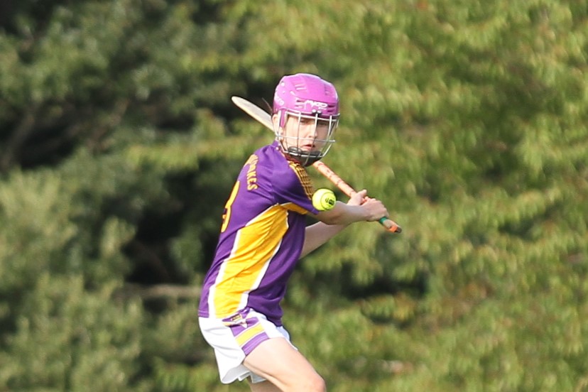 U13 Hurling League Div.1 vs Round Towers