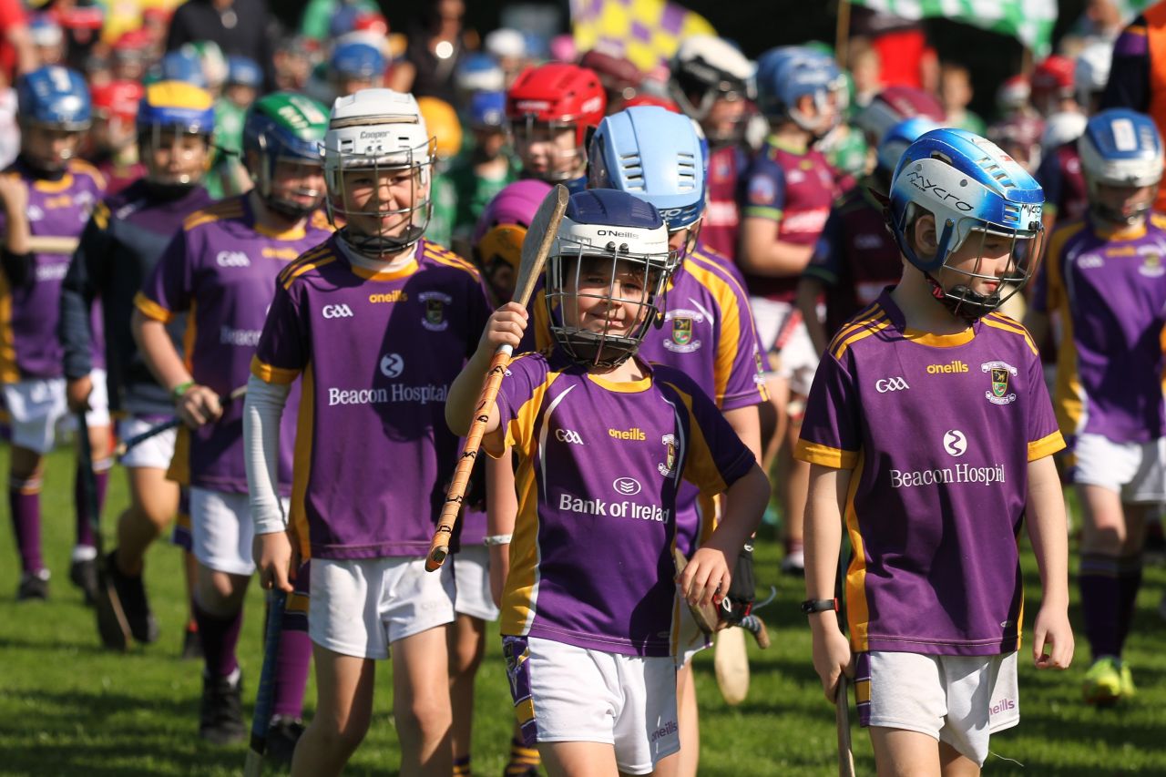 U9 Boys Festival of Hurling 2022