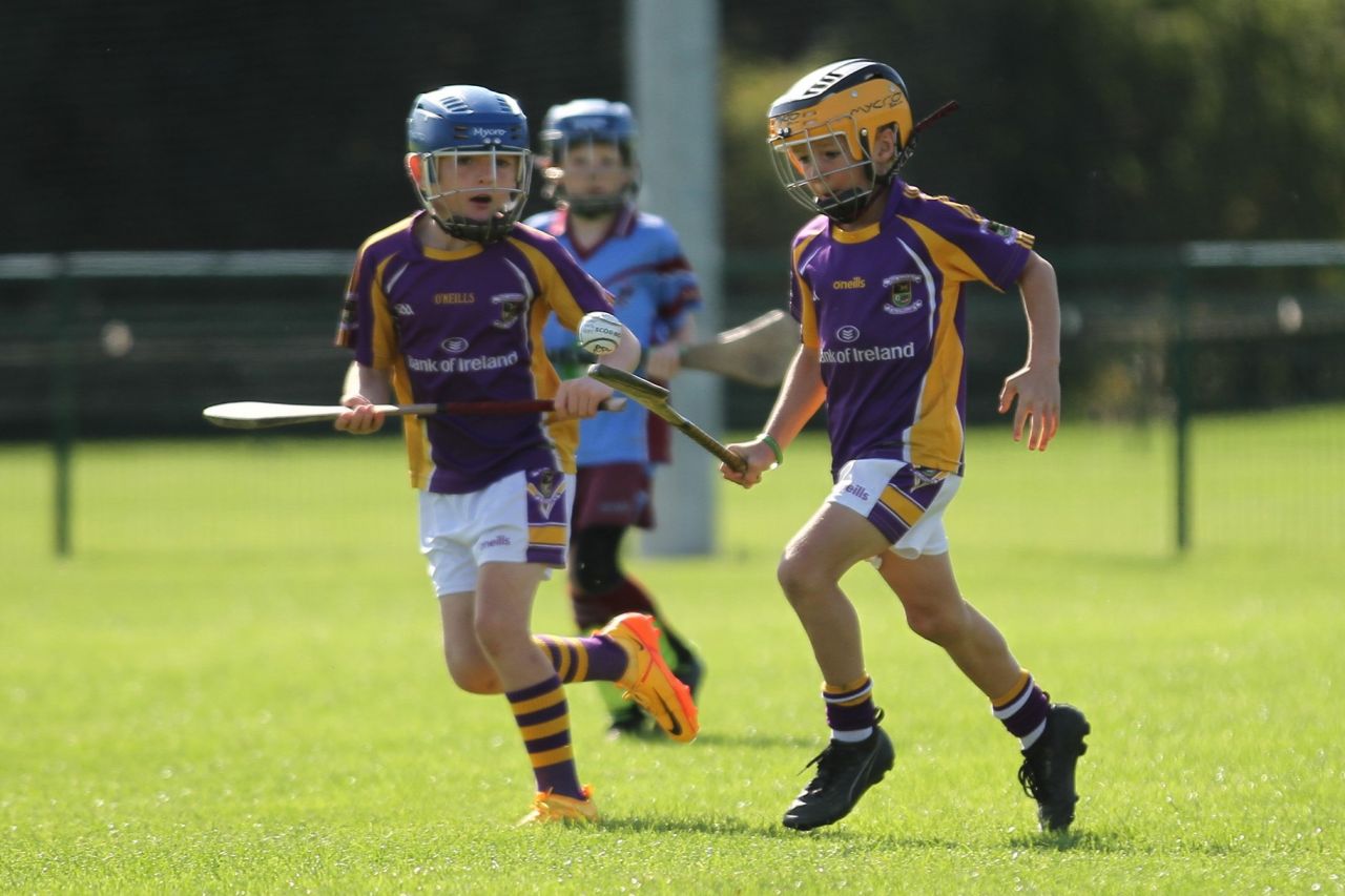 U9 Boys Festival of Hurling 2022