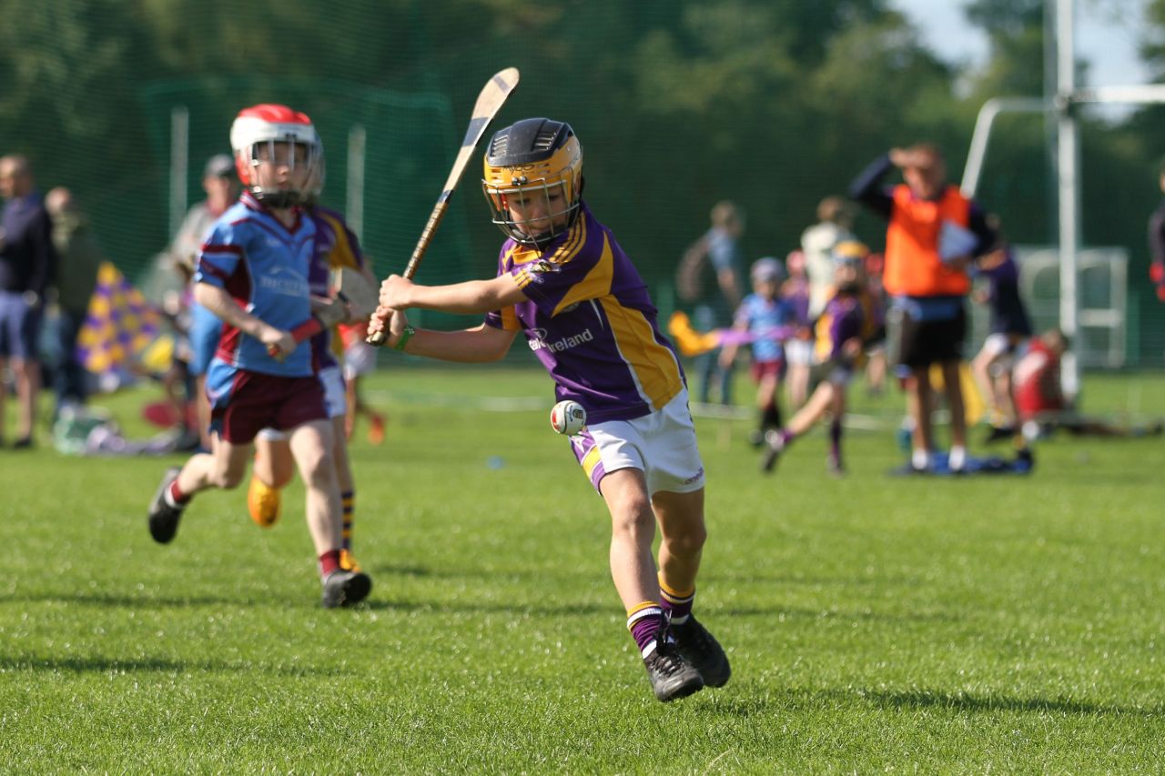 U9 Boys Festival of Hurling 2022