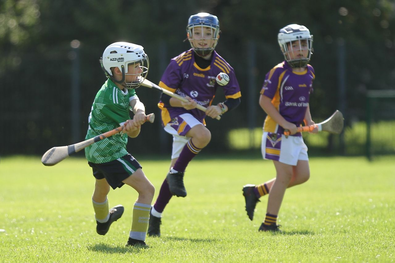 U9 Boys Festival of Hurling 2022